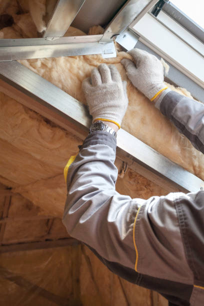 Eco-Friendly or Green Insulation Solutions in Pasadena, TX